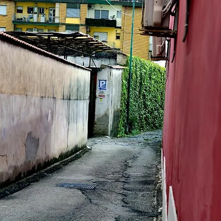 Hostello Felice Auberge de jeunesse *